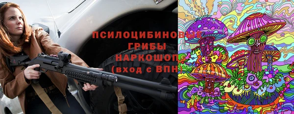 амф Михайловск