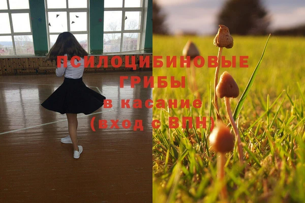 стафф Грязи